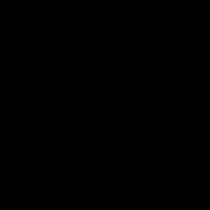 Meet your Posher, Zarli